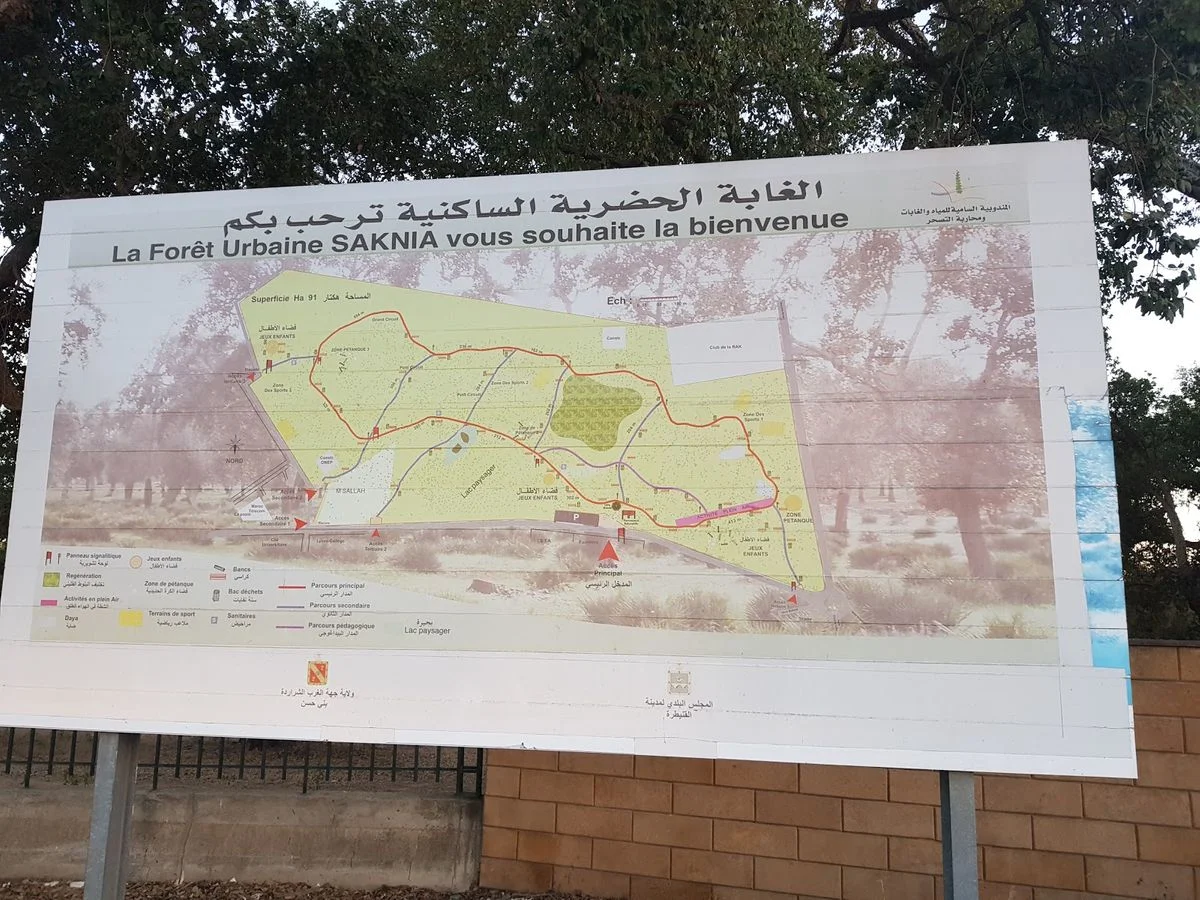 Urban Forest City Kenitra - photo 3